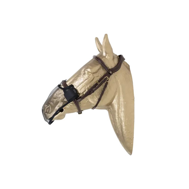 Anti Fly Nose net Kentucky