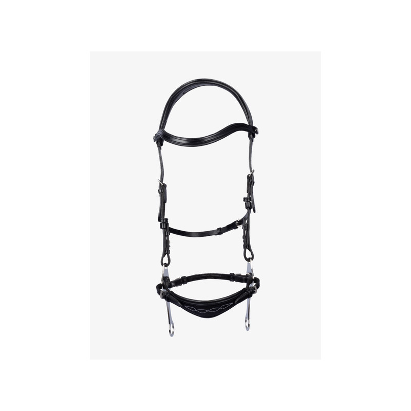 Hackamore Bridle