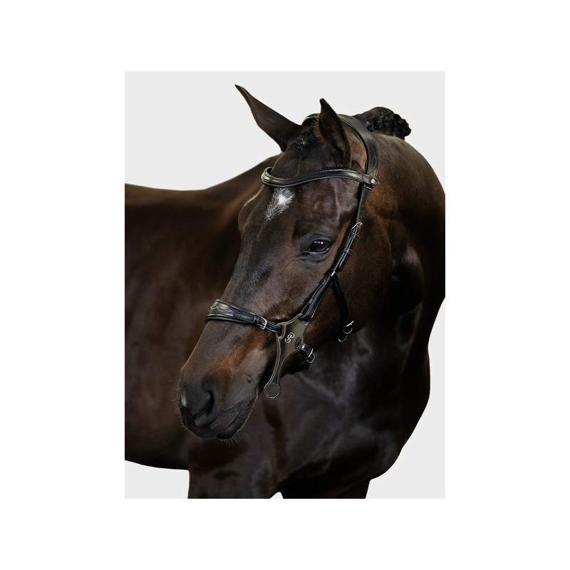 Hackamore Bridle