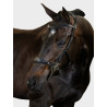 Hackamore Bridle