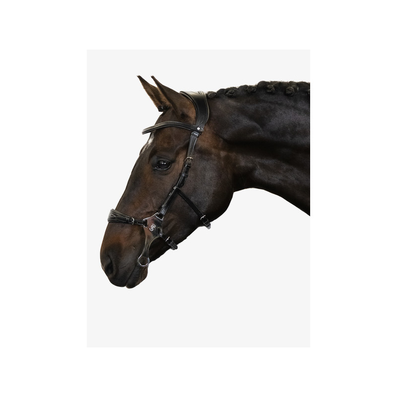Hackamore Bridle