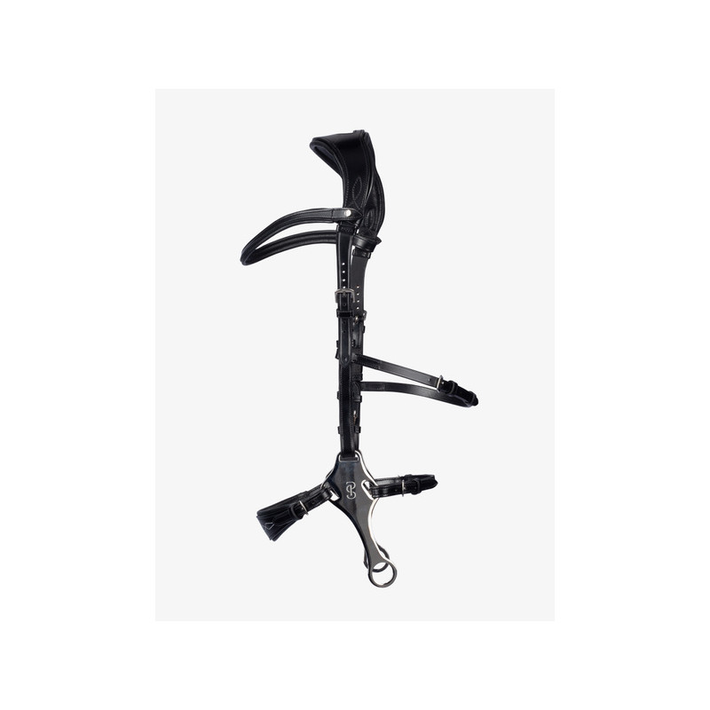 Hackamore Bridle