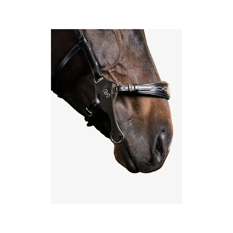 Hackamore Bridle