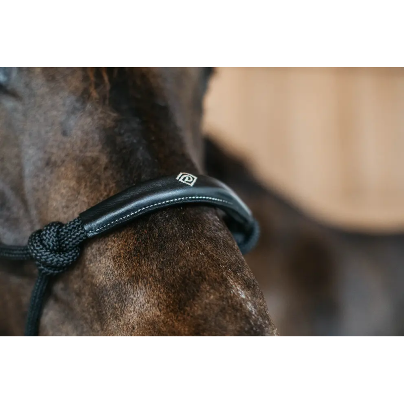 Ethological Head Collar - Dy'on