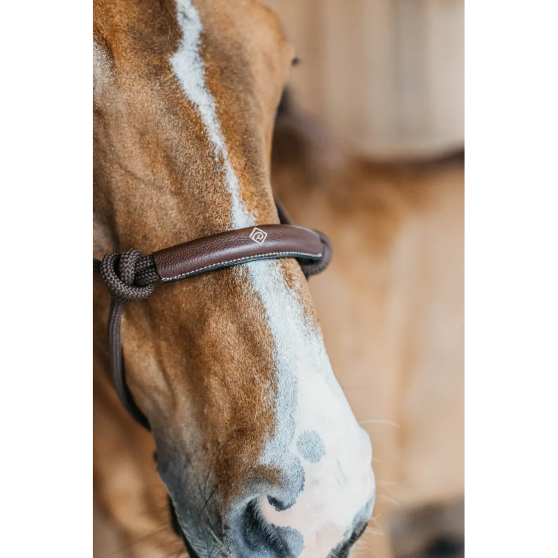 Ethological Head Collar - Dy'on