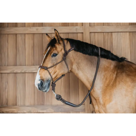 Ethological Head Collar - Dy'on