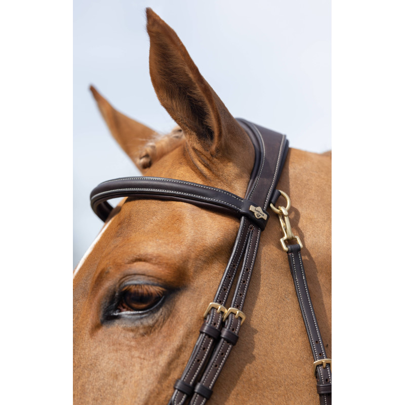 Training Bridle with Snap Hooks - Le Mieux