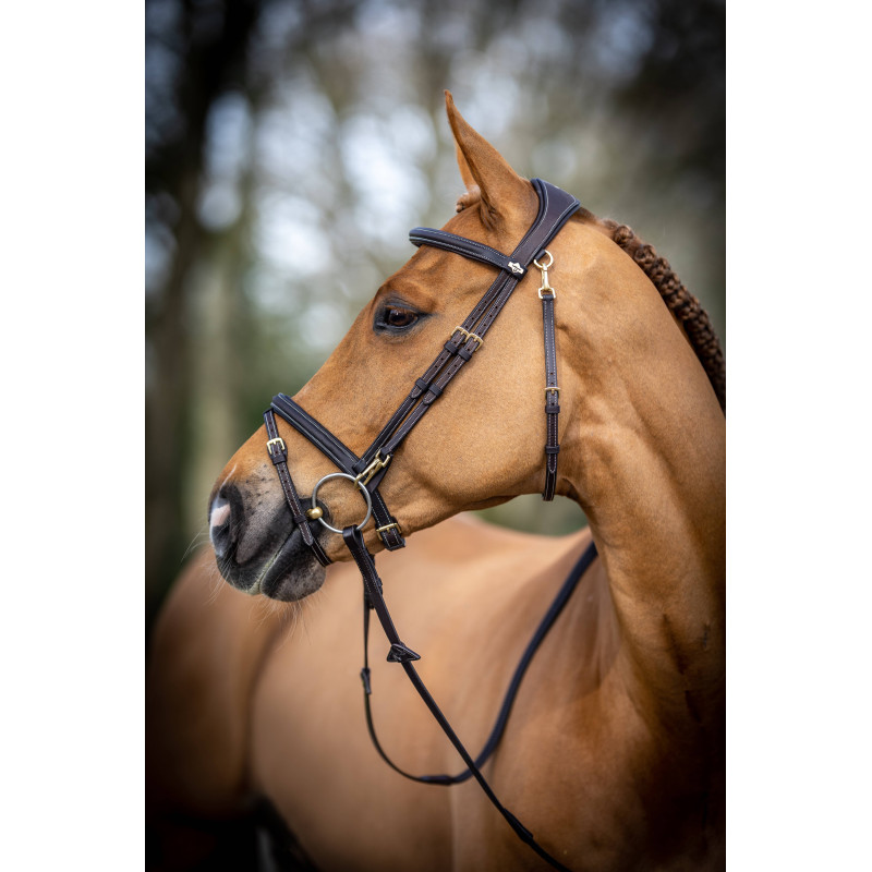 Training Bridle with Snap Hooks - Le Mieux