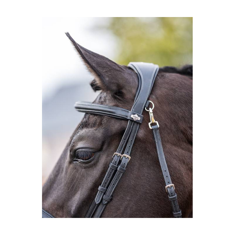 Training Bridle with Snap Hooks - Le Mieux