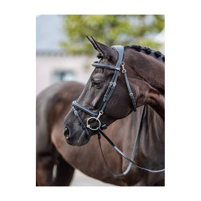 Training Bridle with Snap Hooks - Le Mieux