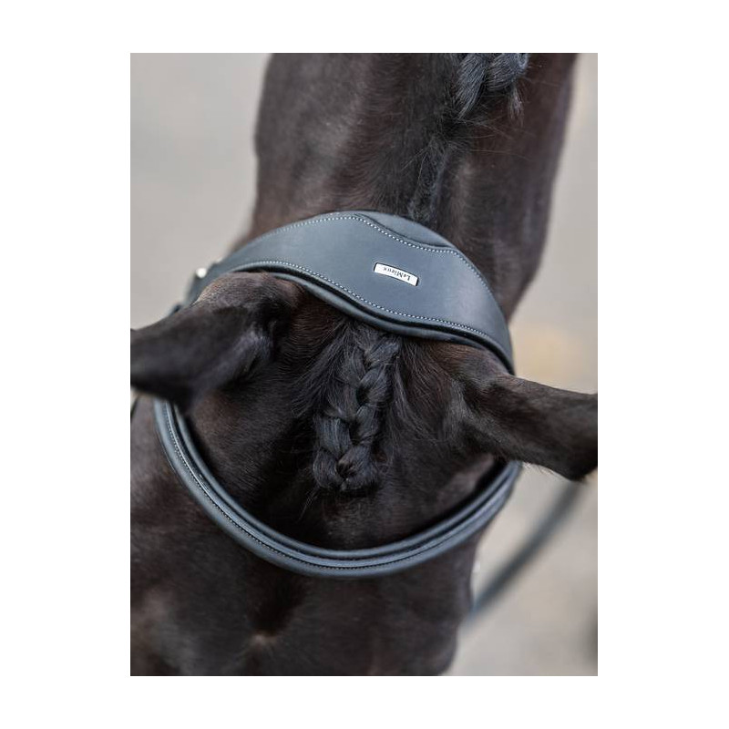 Training Bridle with Snap Hooks - Le Mieux