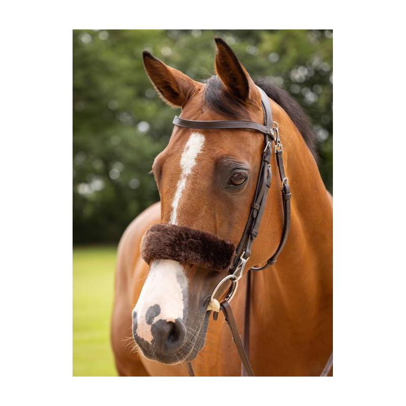 Lambswool cover for noseband