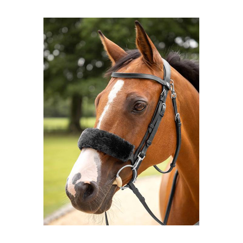 Lambswool cover for noseband