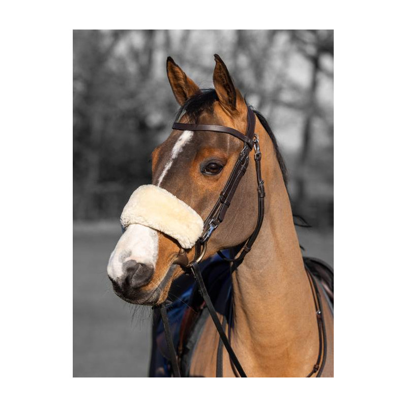 Lambswool cover for noseband