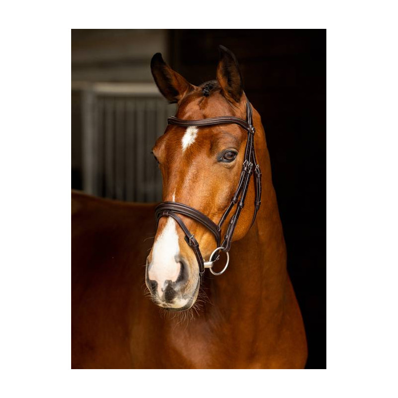 Arika Flash Bridle - Le Mieux