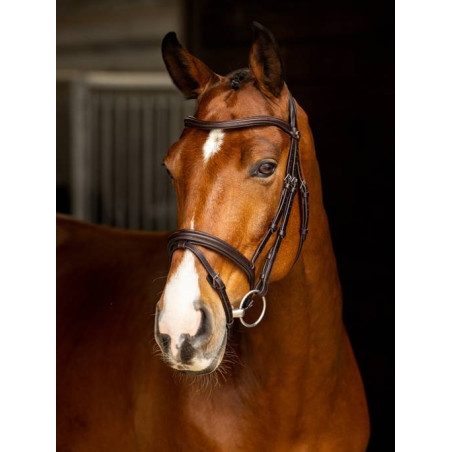 Arika Flash Bridle - Le Mieux