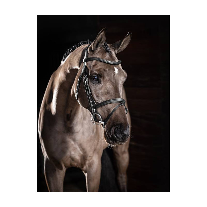 Arika Flash Bridle - Le Mieux