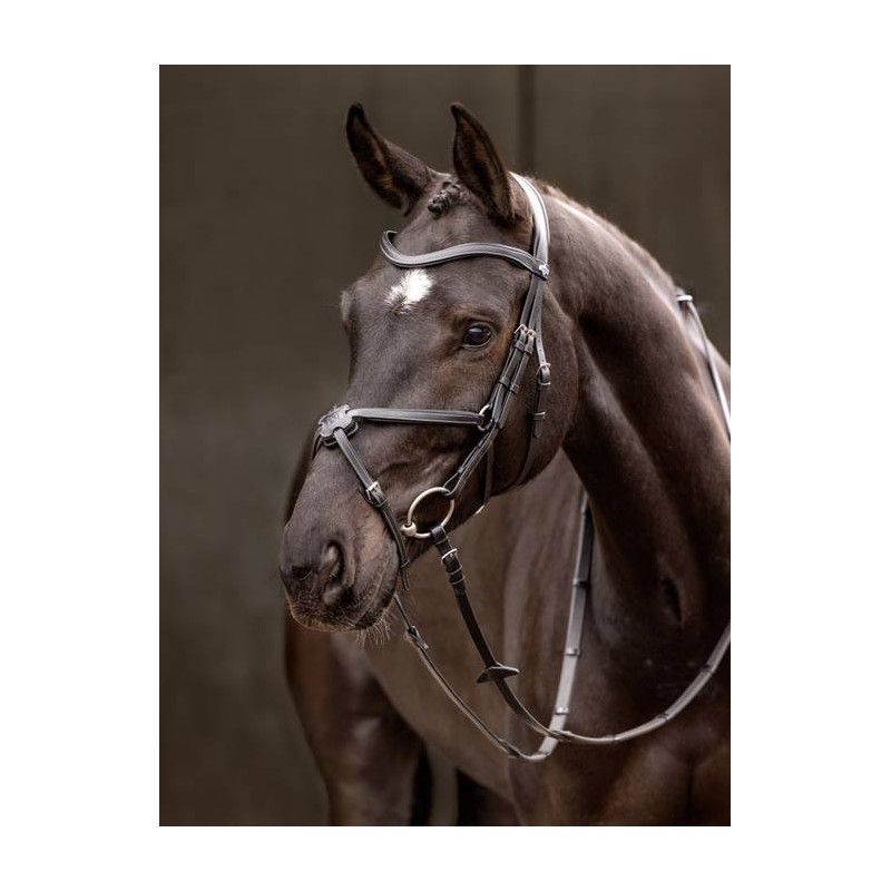 Arika cross noseband Bridle - Le Mieux