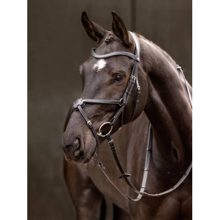 Arika cross noseband Bridle - Le Mieux