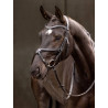Arika cross noseband Bridle - Le Mieux