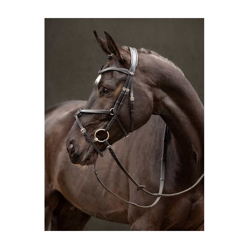 Arika cross noseband Bridle - Le Mieux