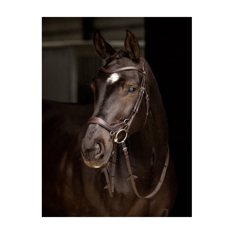 Special Arika Bridle - Le Mieux