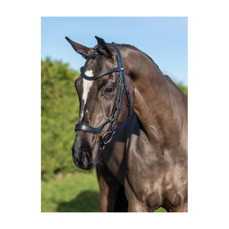 Special Arika Bridle - Le Mieux