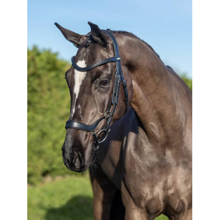 Special Arika Bridle - Le Mieux