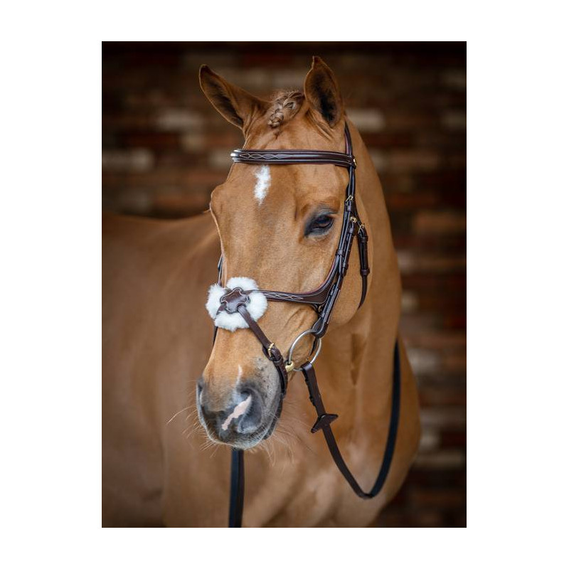 Cross noseband Bridle - Le Mieux