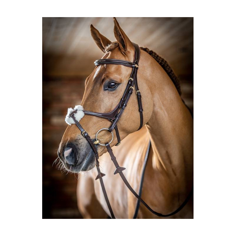 Cross noseband Bridle - Le Mieux