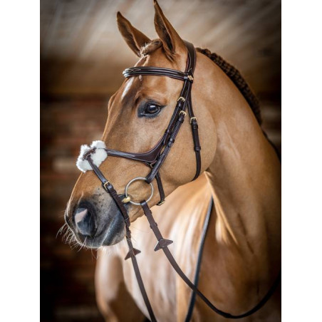 Cross noseband Bridle - Le Mieux
