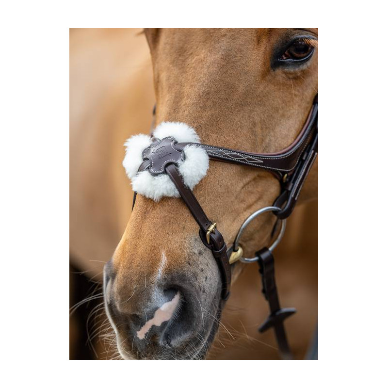 Cross noseband Bridle - Le Mieux