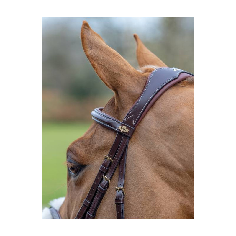 Cross noseband Bridle - Le Mieux