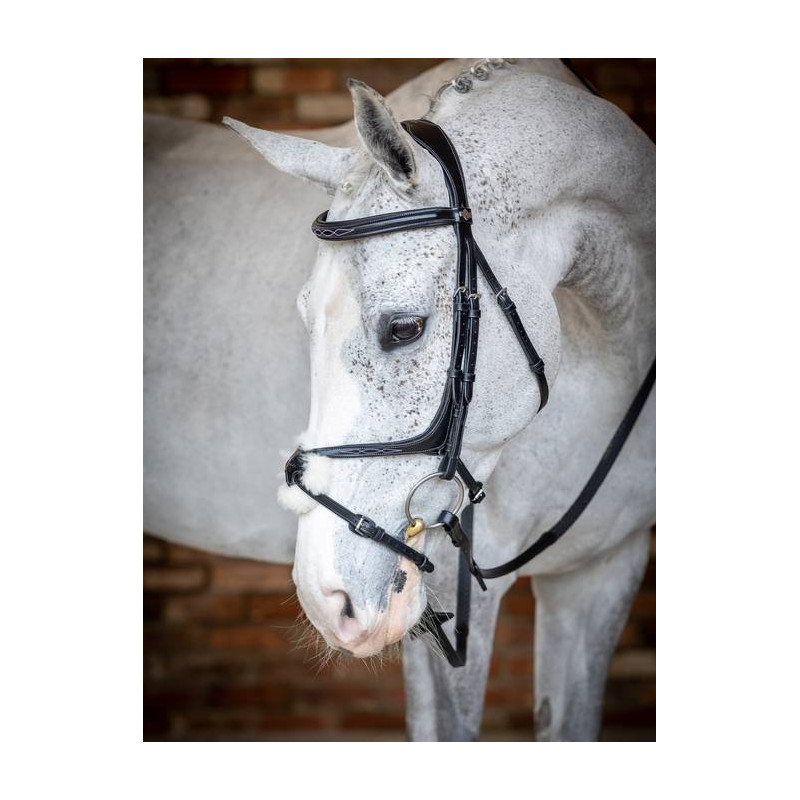 Cross noseband Bridle - Le Mieux