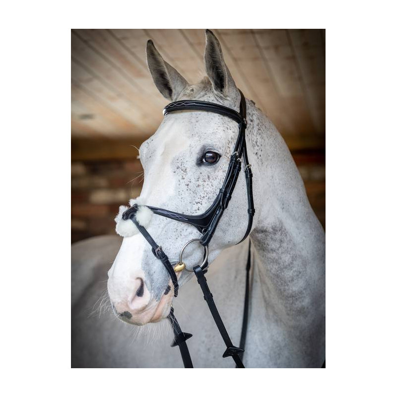 Cross noseband Bridle - Le Mieux