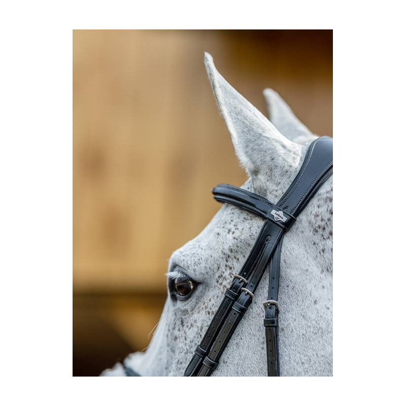 Cross noseband Bridle - Le Mieux