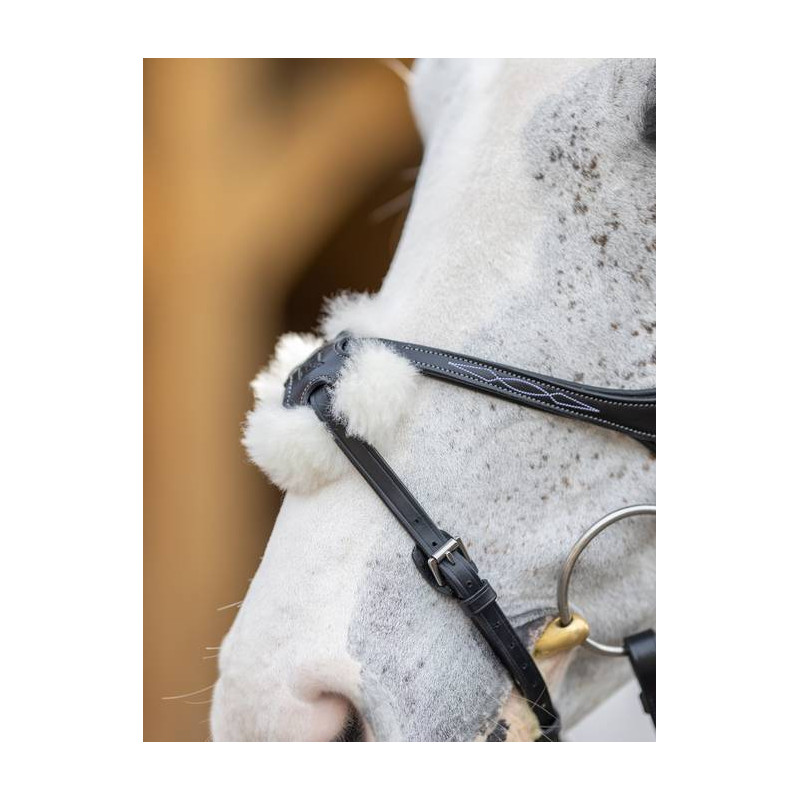 Cross noseband Bridle - Le Mieux