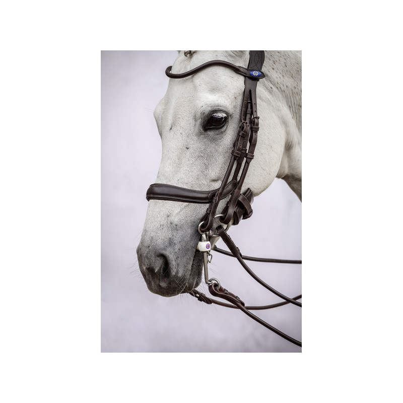 Double Bridle Passage