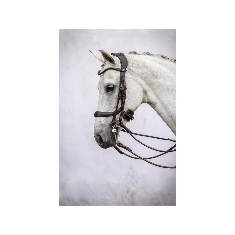 Double Bridle Passage
