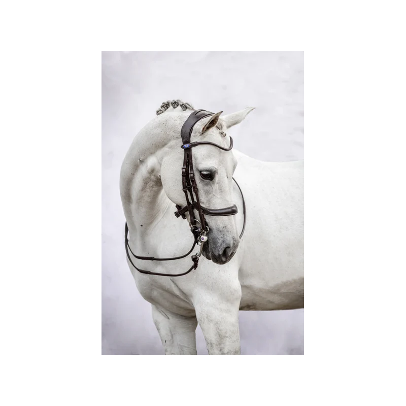 Double Bridle Passage