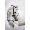Double Bridle Passage