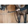 Training Lead 3,7 M - Working by Dy'on