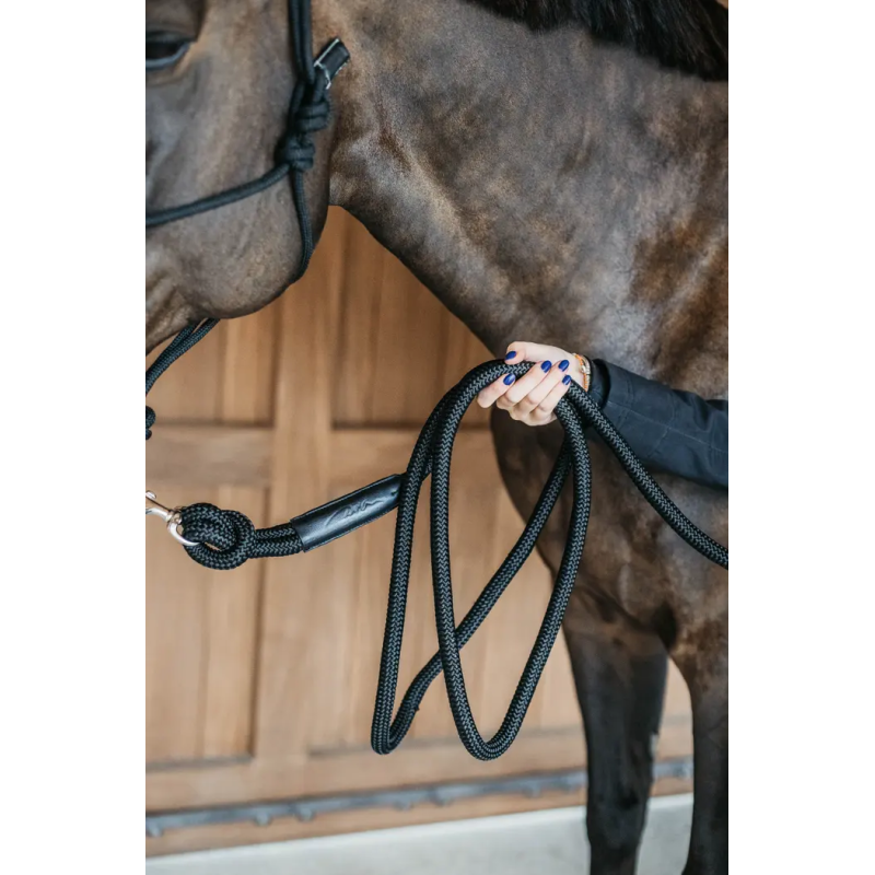 Training Lead 3,7 M - Working by Dy'on