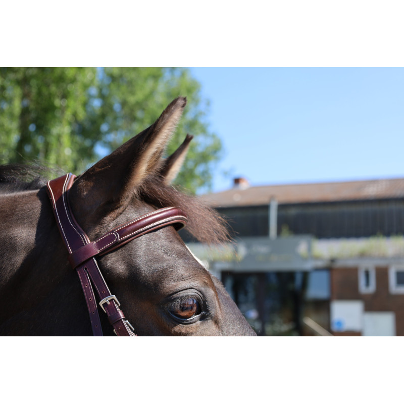 Comfort Bridle Cavaletti