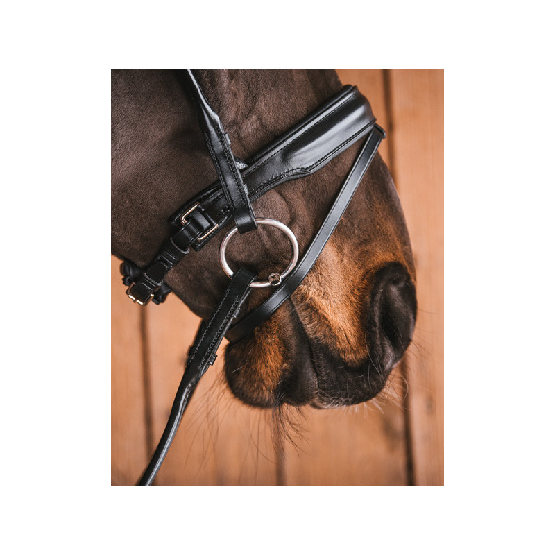 JENNY Sweet iron Bradoon Loose rings