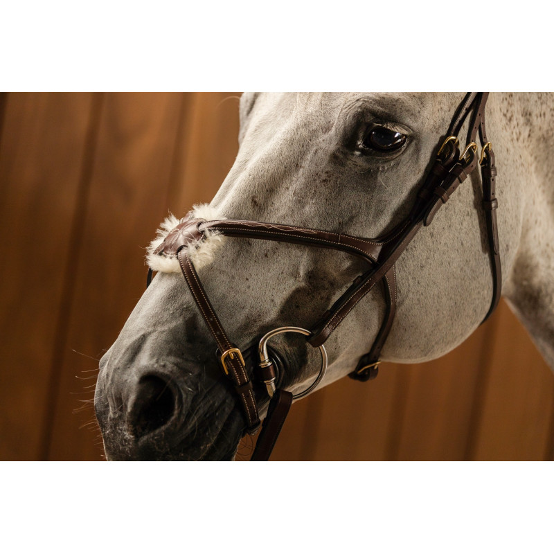 Bridle anatomic mexican noseband Oslo