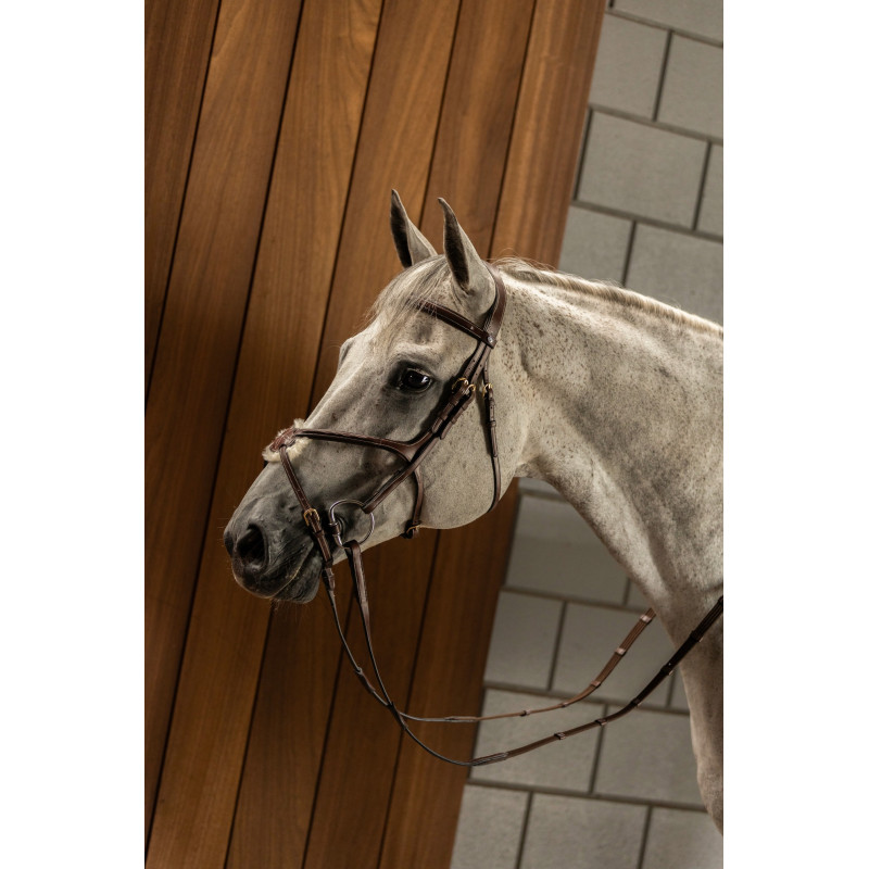 Bridle anatomic mexican noseband Oslo