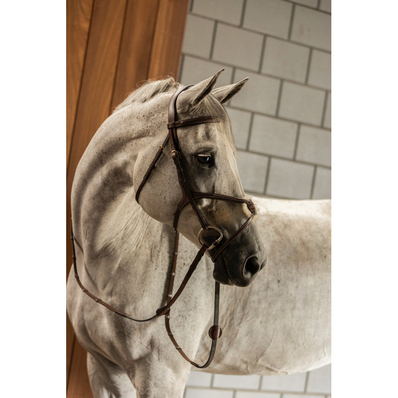 Bridle anatomic mexican noseband Oslo
