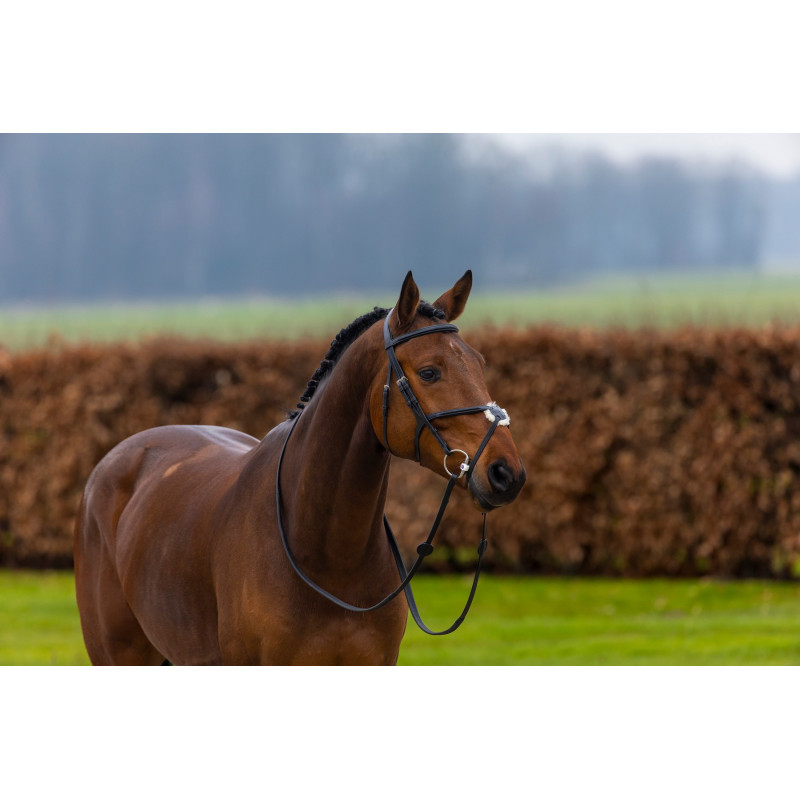 Bridle anatomic mexican noseband Oslo