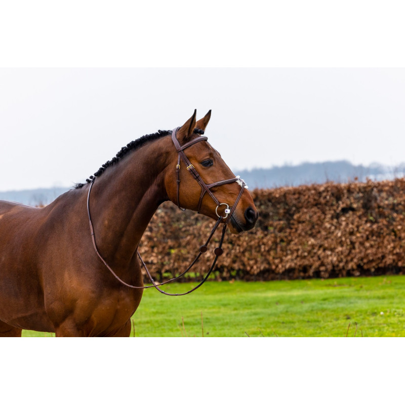 Bridle anatomic mexican noseband Oslo